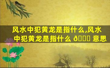 风水中犯黄龙是指什么,风水中犯黄龙是指什么 🐛 意思